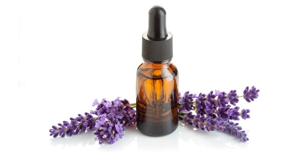 Amber dropper bottle of lavender essential oil surrounded by lavender buds.