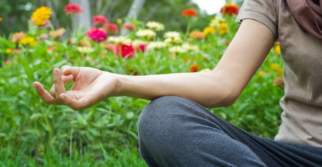 May Skin Care and Beauty Holidays Highlight: Garden Meditation Day
