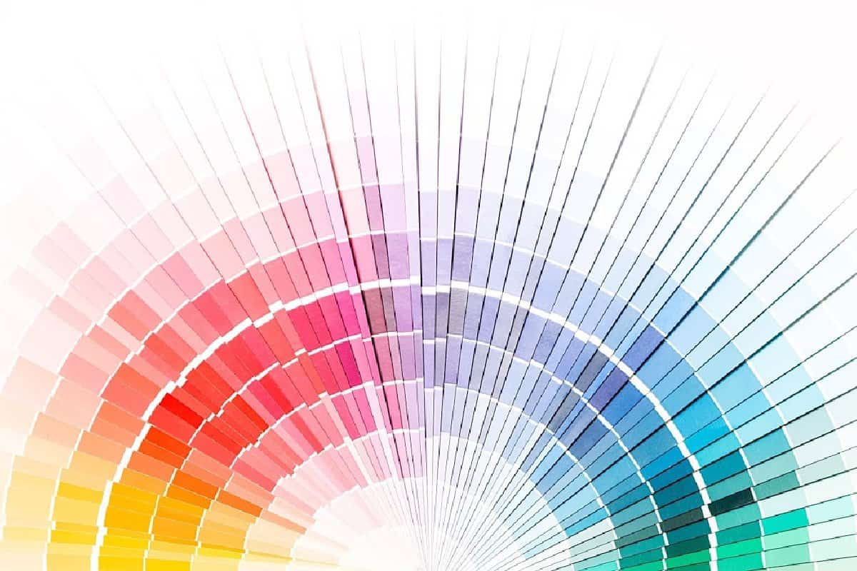 Skin Care Business Color Palette Guide