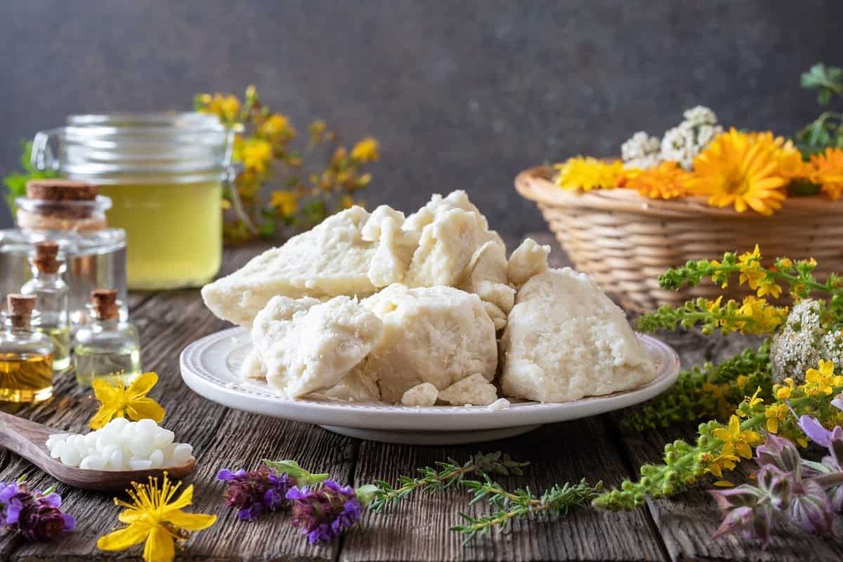 Plate of shea butter surrounded by beeswax and other natural skin care ingredients