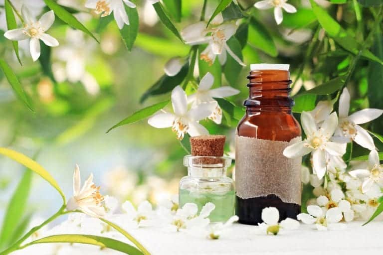 27 Best Essential Oils for Natural Skin Care Recipes