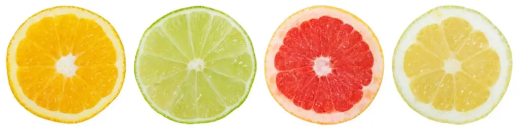 Row of citrus fruits cut in the middle