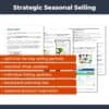Learn how to sell strategically in the Etsy SEO and SSO Guide for Handmade Sellers