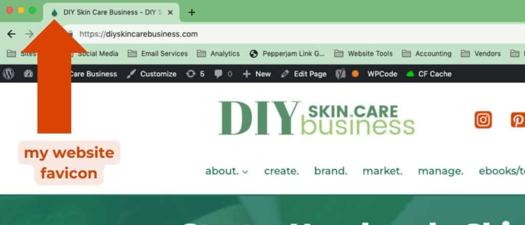 The DIY Skin Care Business website favicon, a bold green drop